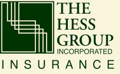 The Hess Group Logo